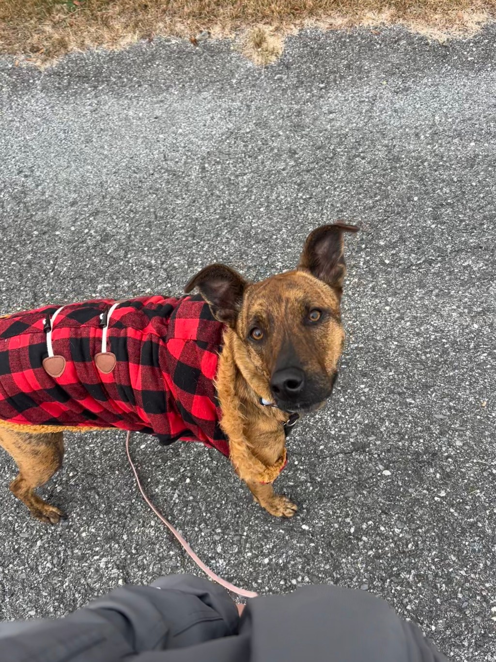 2025: My Year of *Not*&nbsp;Achievements